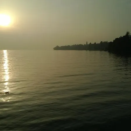 Bernhardt * Lindau (Bodensee)